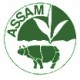 Assam Rembeng TGFOP SF